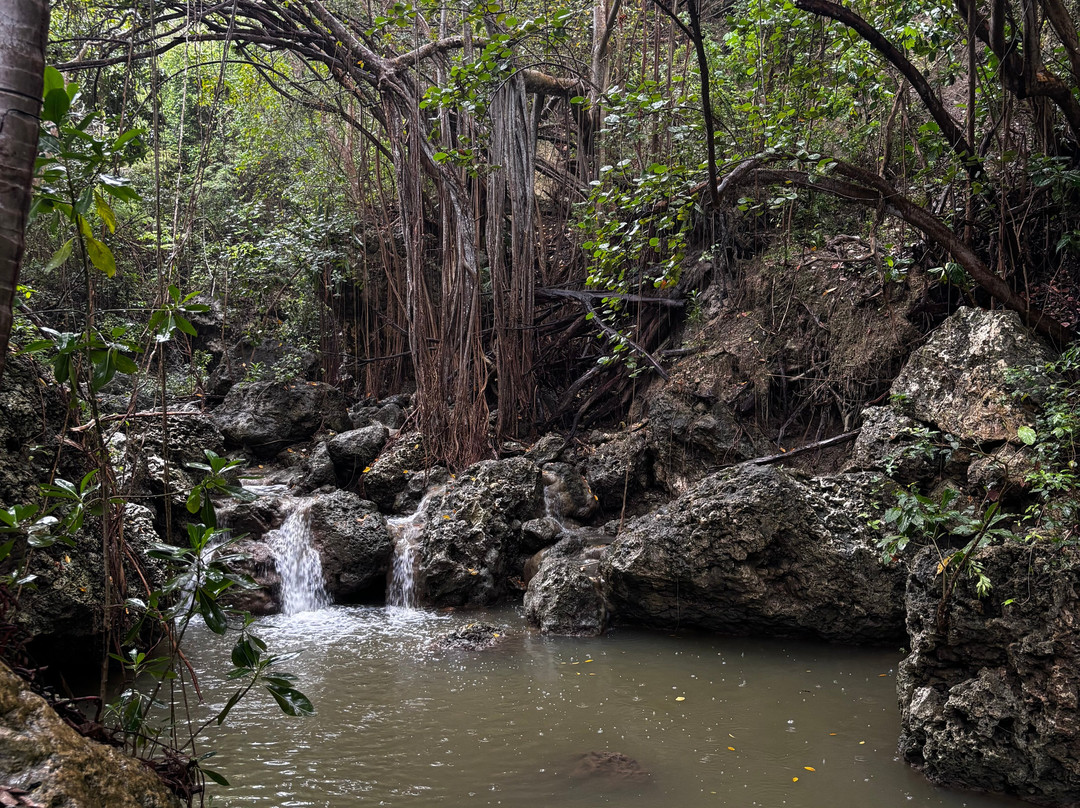 Wild Barbados-Cattlewash必去景点