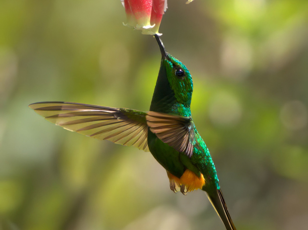 Ikam Expeditions-Moyobamba必去景点