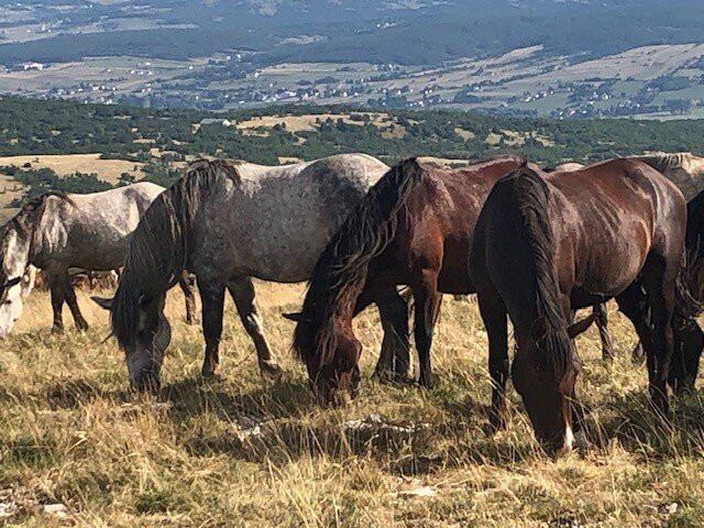 Atv Experience Livno-Livno必去景点