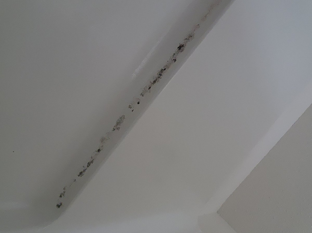 Super 8 by Wyndham Maysville KY主图