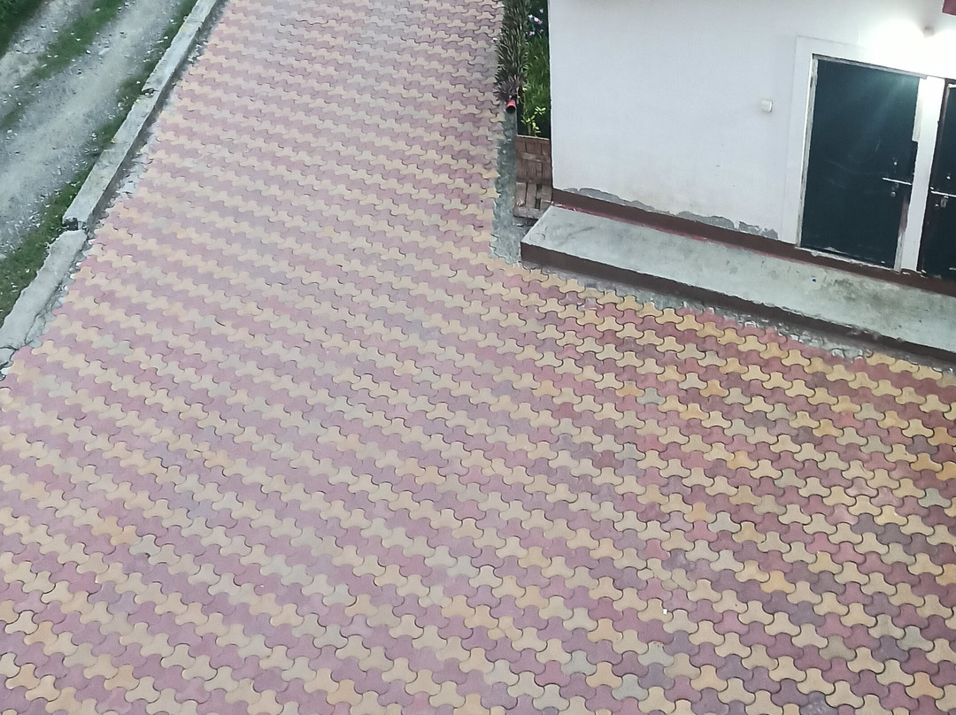 Treebo Hotel Mobi Vip Airport主图