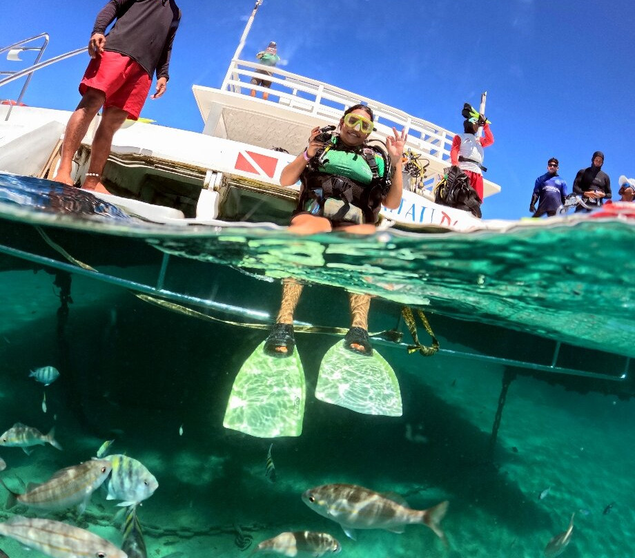 Maracajaú Diver-Maracajau必去景点