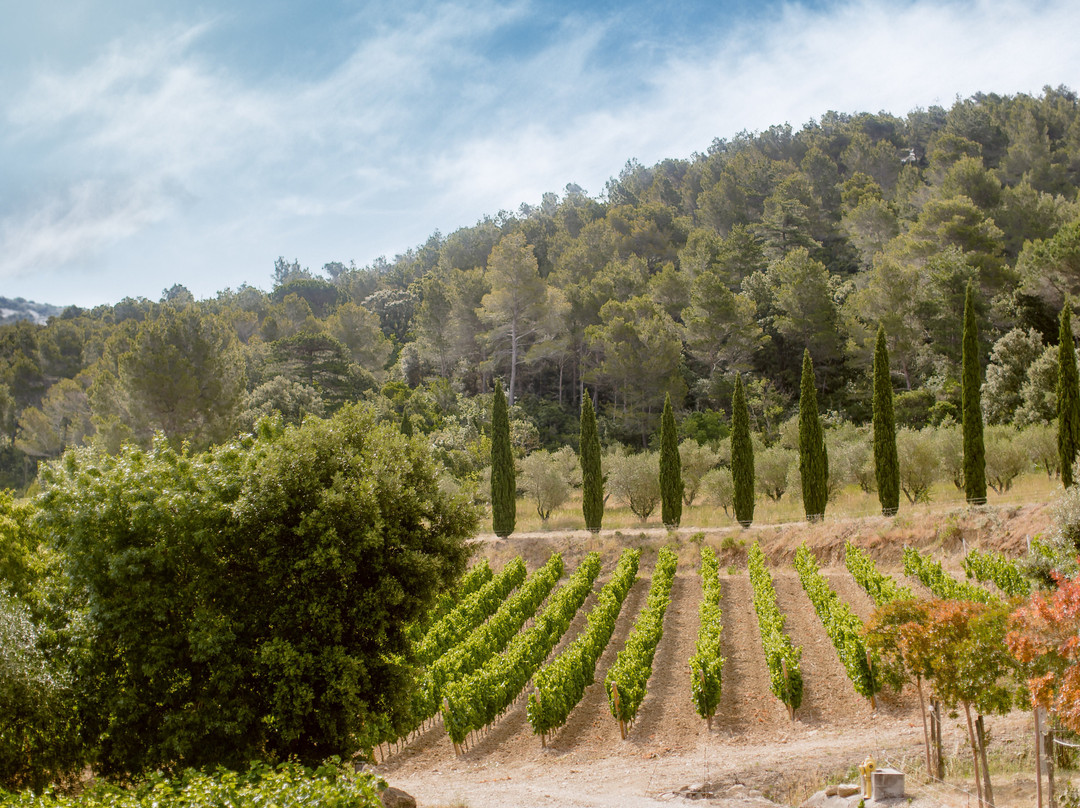 Chateau Haut Gleon主图