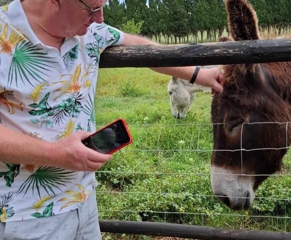 Mad Donkey Mallorca-Pollenca必去景点