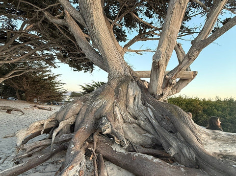 Carriage House Inn主图