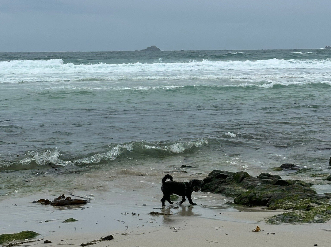 Sennen Cove Beach景点图片