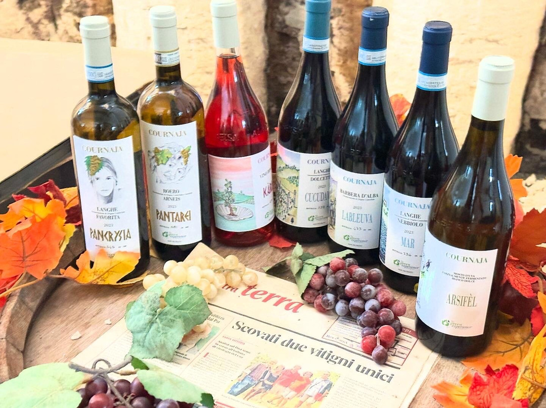 Azienda Agricola Cournaja-Santa Vittoria d'Alba必去景点