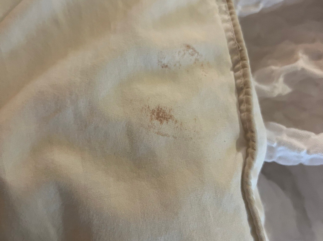 TownePlace Suites by Marriott Charlotte Mooresville主图