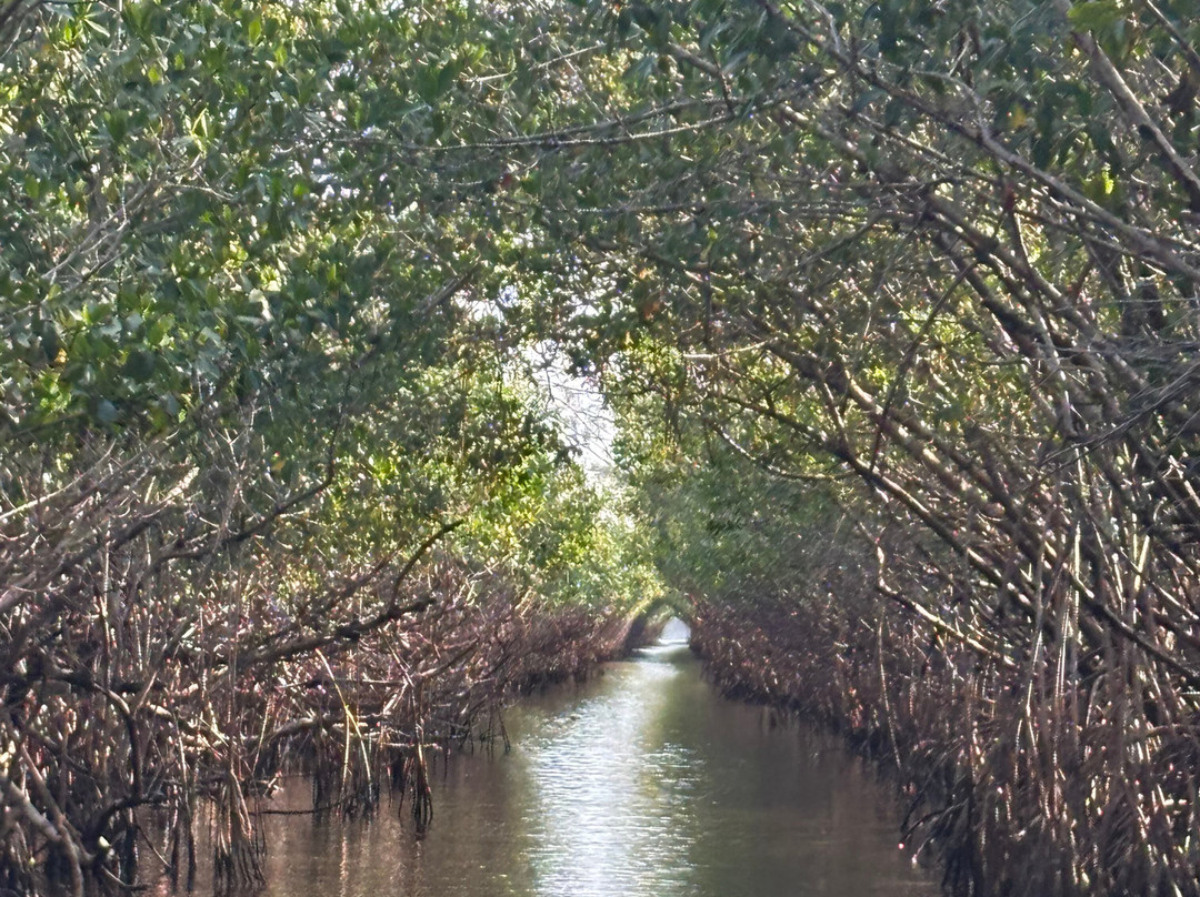 Captain Jack's Airboat Tours景点图片