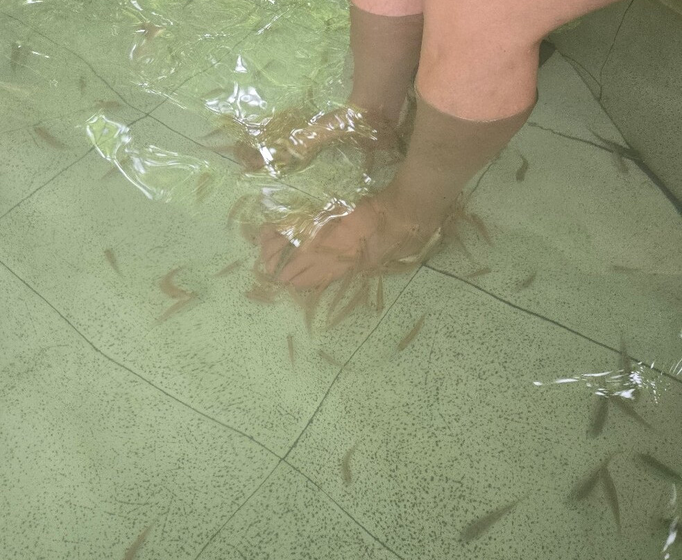 Hoa Phu Thanh Play Ground-岘港必去景点