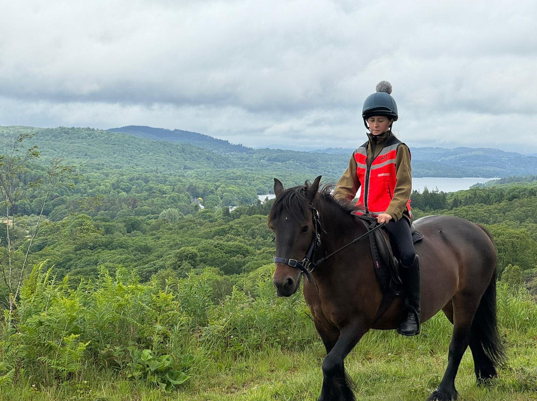 Fell Pony Adventures景点图片