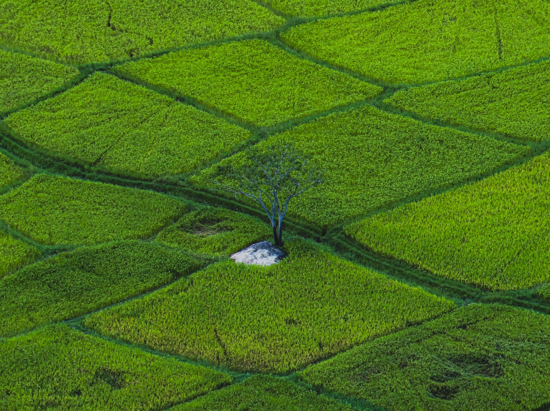 Eco Love Tours-加勒必去景点