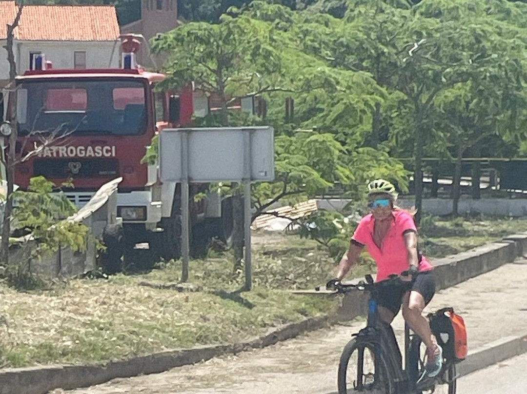 Pedal & Sea Adventures - Bike Tours-Black Point必去景点