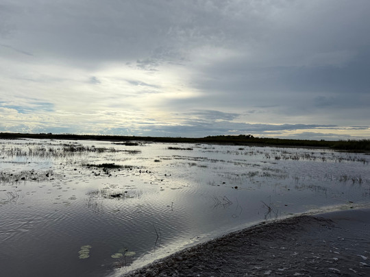 Florida Airboat Rides-庞帕诺比奇必去景点