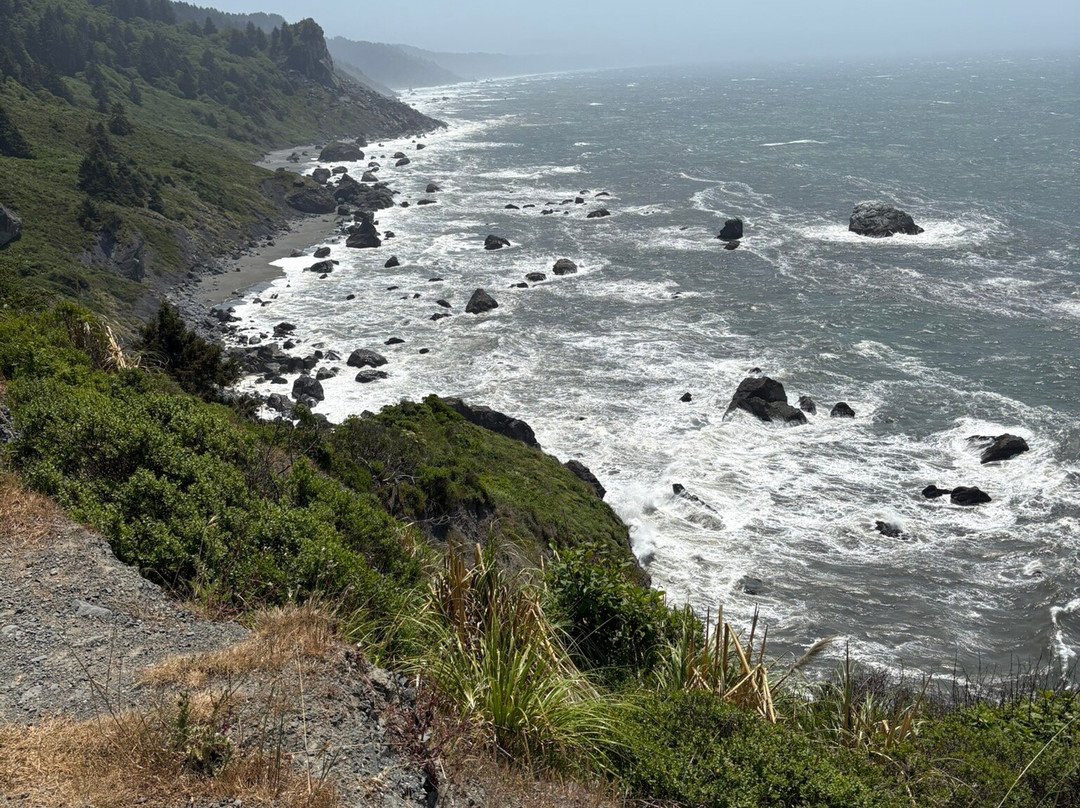 Trinidad Bay Bed and Breakfast Hotel主图