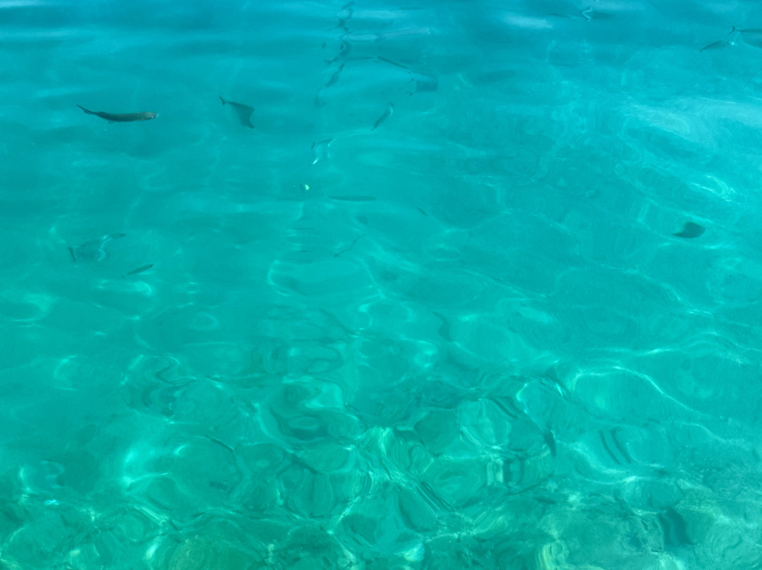 Alkyoni Rent A Boat Symi-Ano Symi必去景点