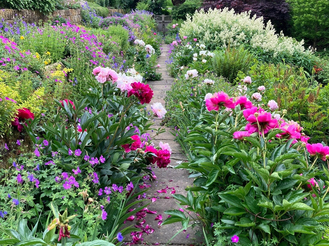Mount Grace Priory, House and Gardens景点图片