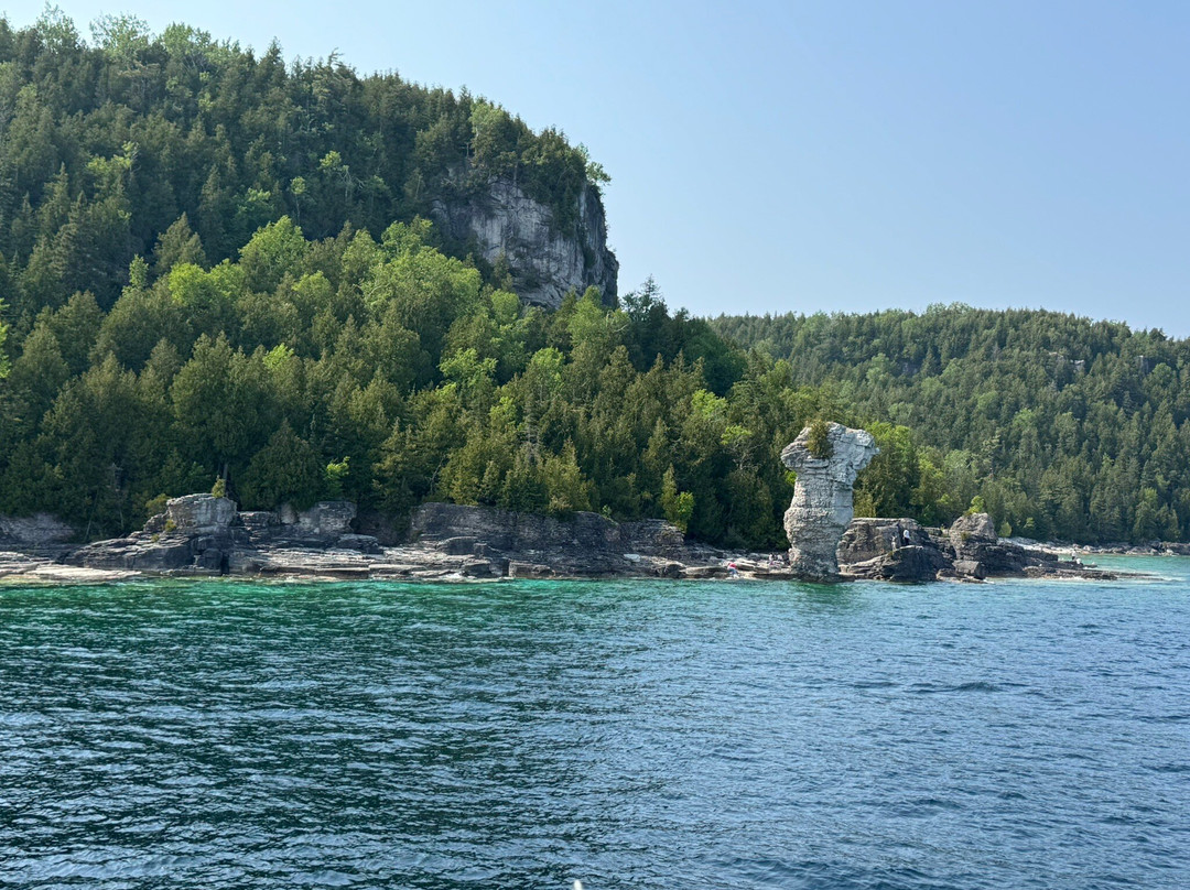 Flowerpot Island-托伯莫里必去景点