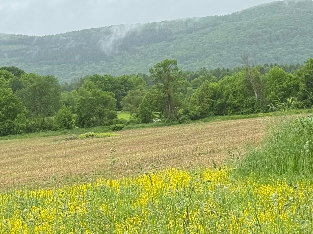 The Mad River Inn主图