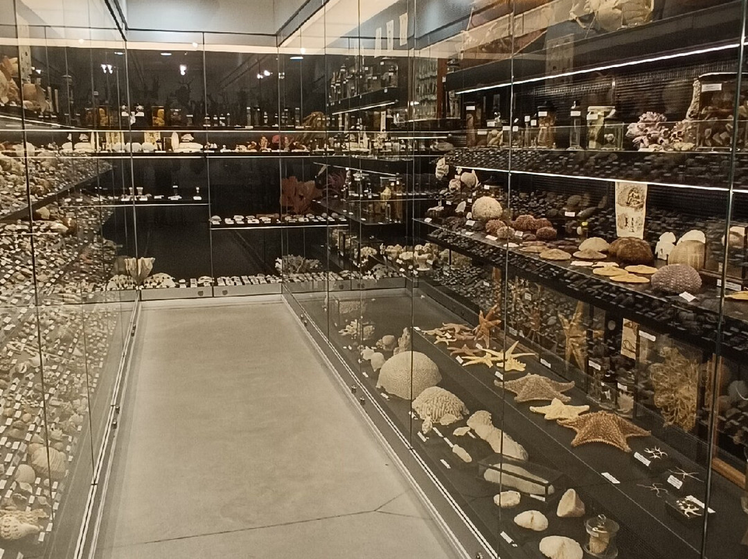 Vilnius University Zoological Museum-维尔纽斯必去景点