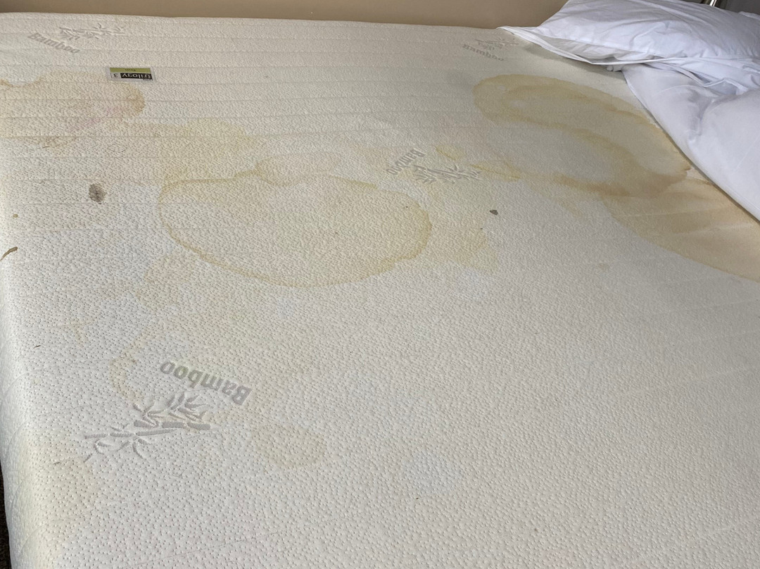 Lindy Lodge Motel主图