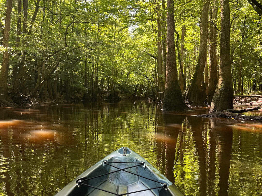 Carolina Outdoor Adventures景点图片