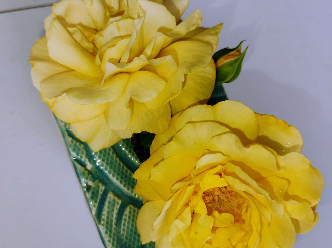 Silver Ridge Pottery-Lebanon必去景点