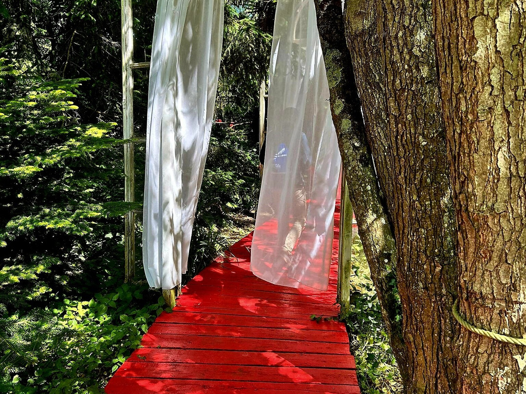 Le Moulin Jaune-Crecy-la-Chapelle必去景点