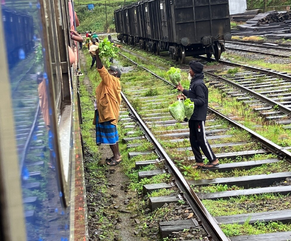 Nanuoya To Ella Train Ride-Nanu Oya必去景点