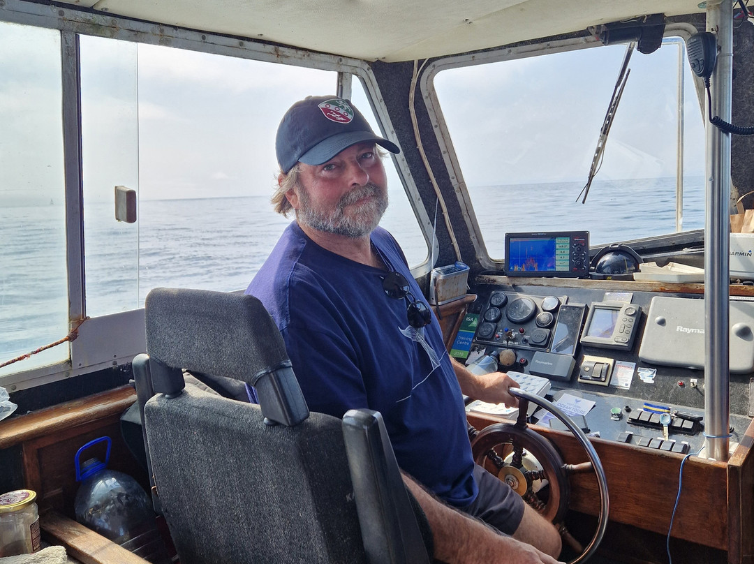 West Cork Ocean Tours-Union Hall必去景点