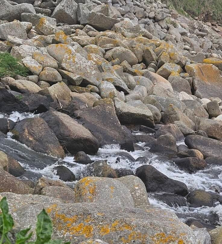 Lamorna Cove景点图片