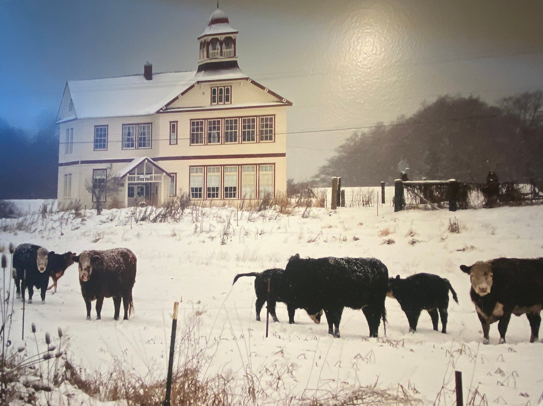 Sequim Museum & Arts-塞奎姆必去景点