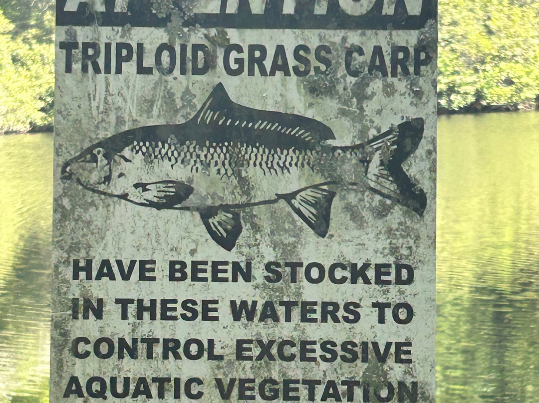 Cliffside Lake Recreation Area-海兰兹必去景点