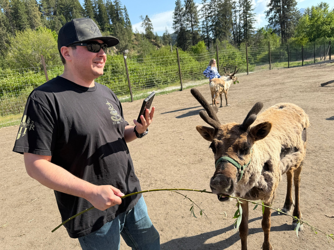 Leavenworth Reindeer Farm-莱文沃思必去景点