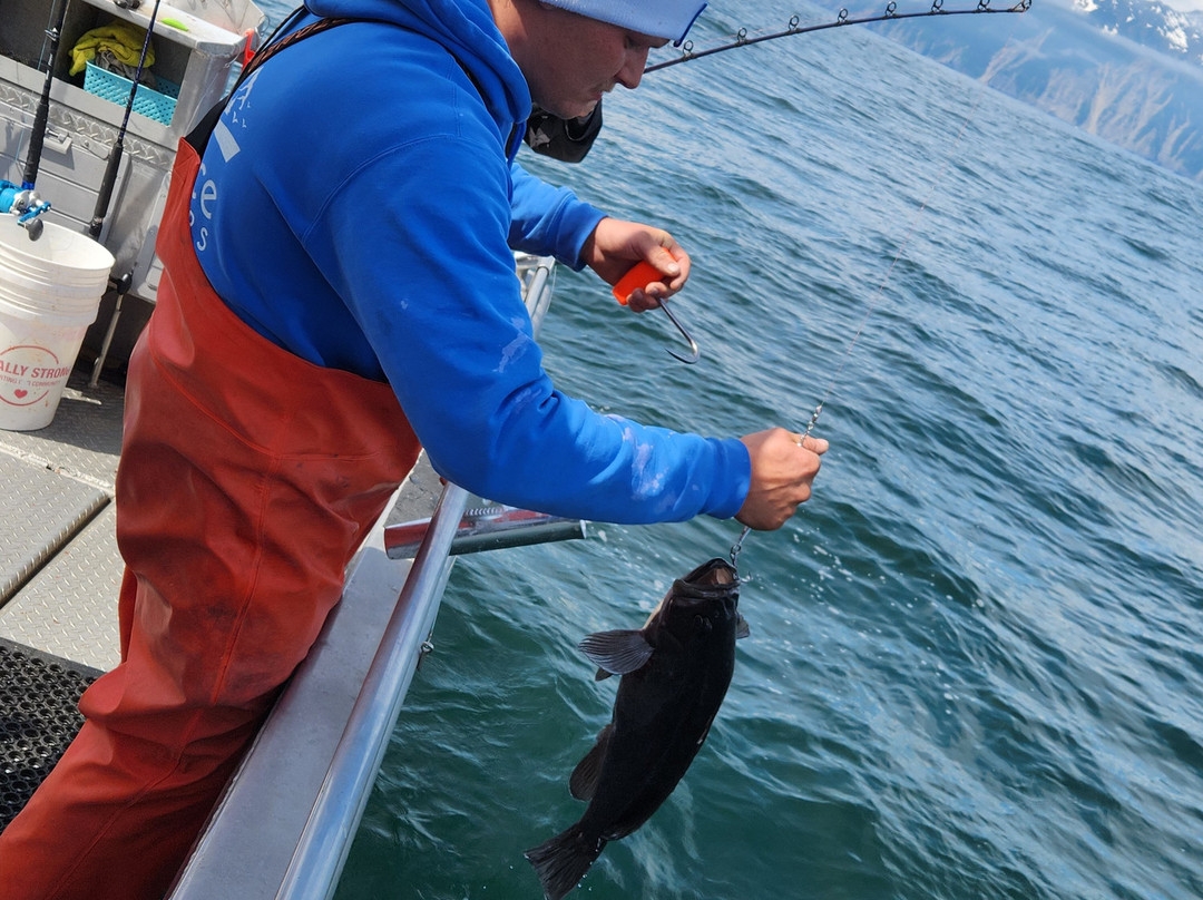 Blue Ice Alaska Charters LLC-苏厄德必去景点