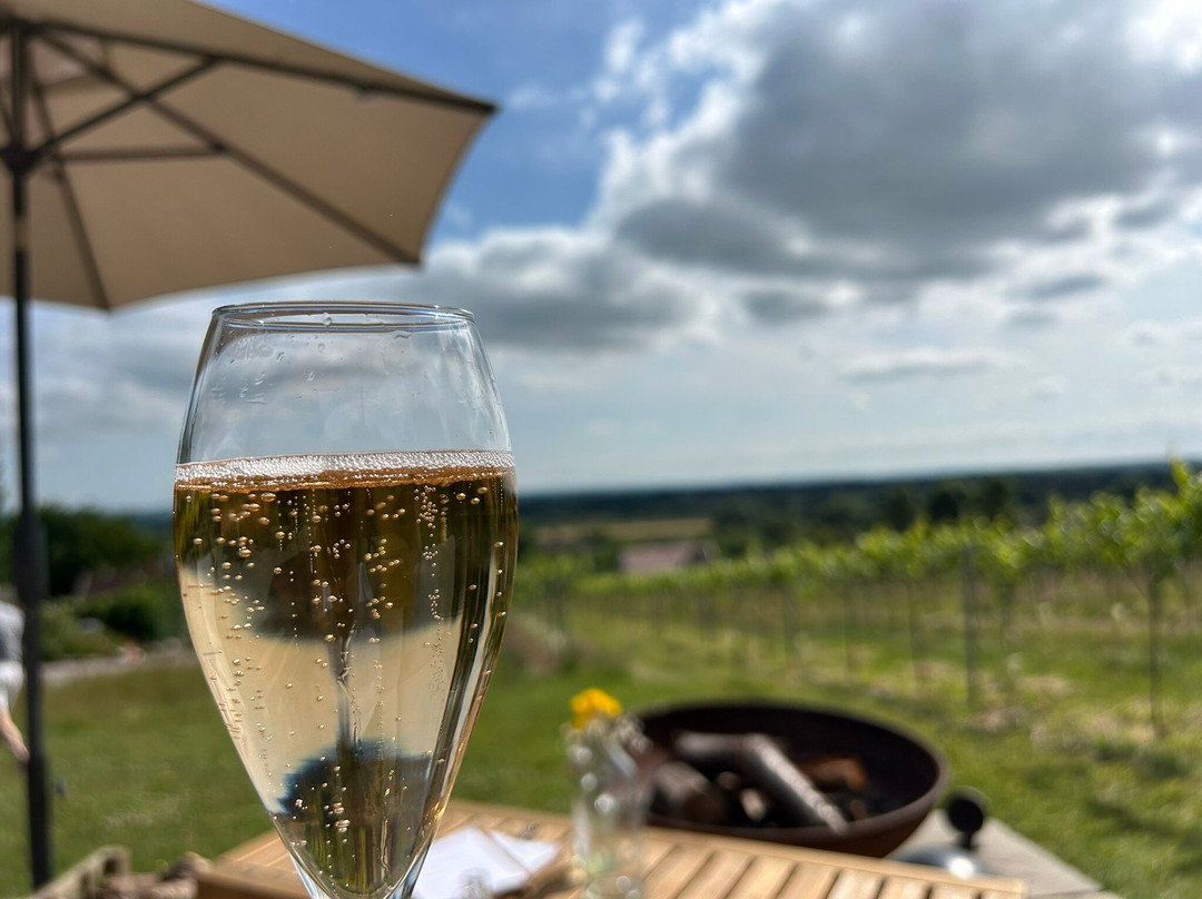 Wraxall Vineyard-Wraxall必去景点