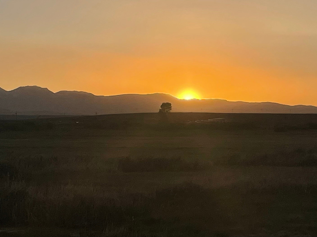 North Park Inn & Suites主图