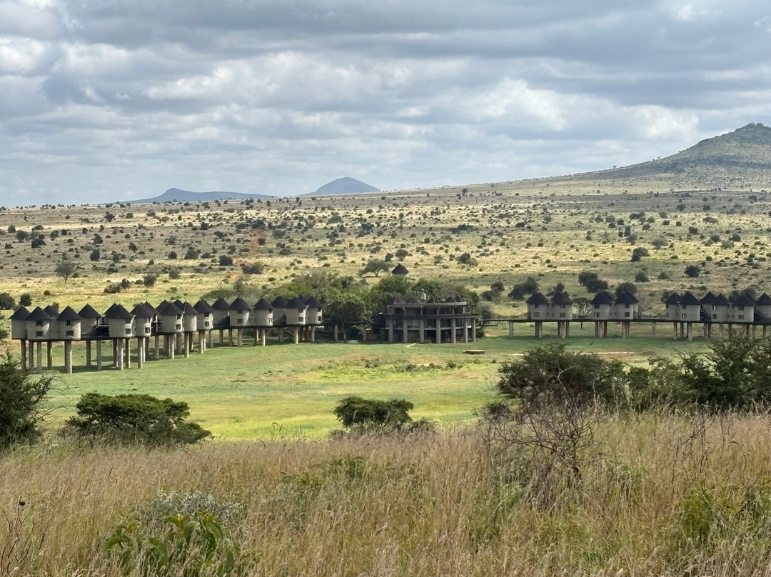 Pitia Africa Safaris-迪亚尼必去景点
