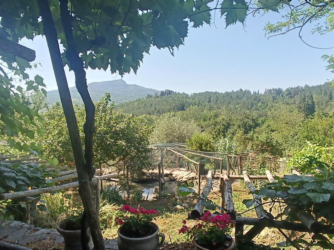 Agriturismo Podere Asche主图