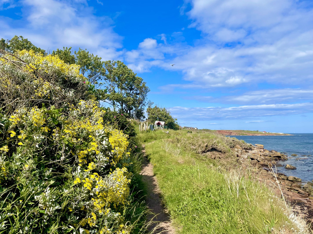 Fife Coastal Path-法夫郡必去景点
