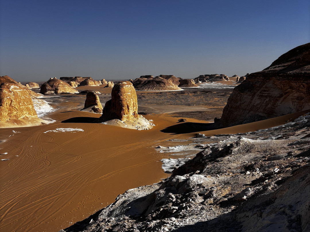 white desert travel-Bahariya Oasis必去景点