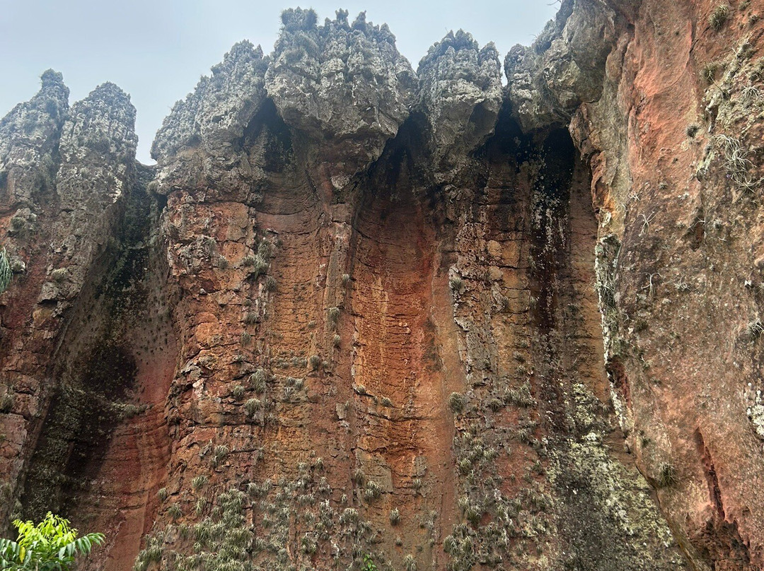 Parque Estadual de Vila Velha-Ponta Grossa必去景点