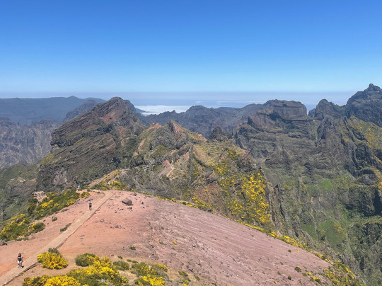 Martin Freitas Taxi Driver-沙尔必去景点