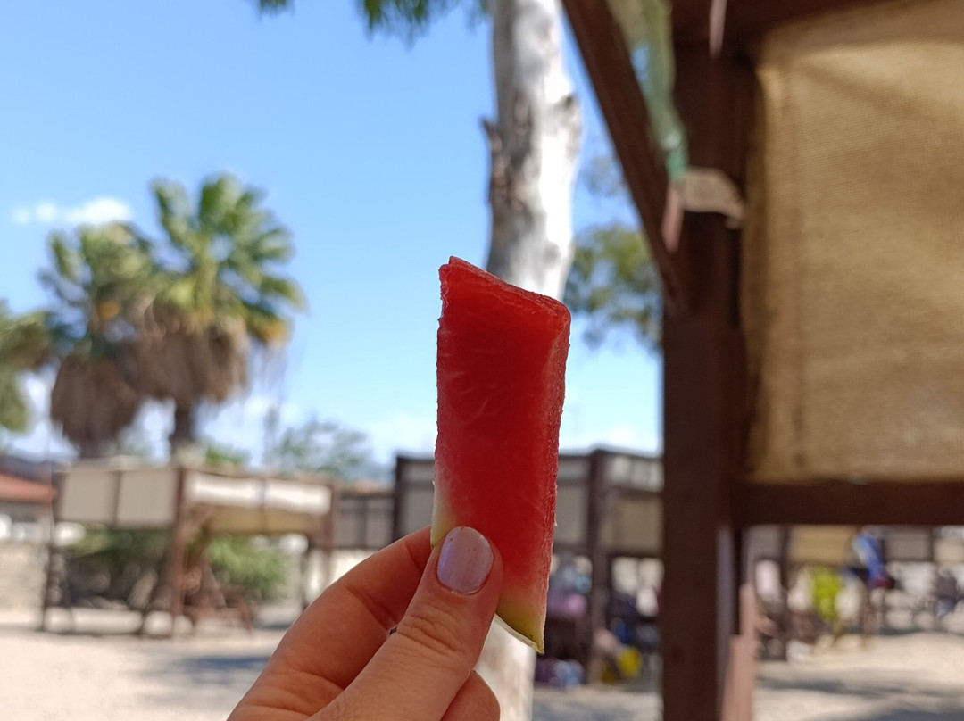 AğaPark-null必去景点