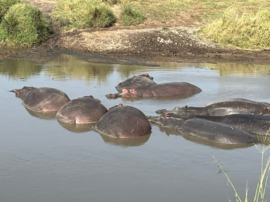 Global Experience-阿鲁沙必去景点