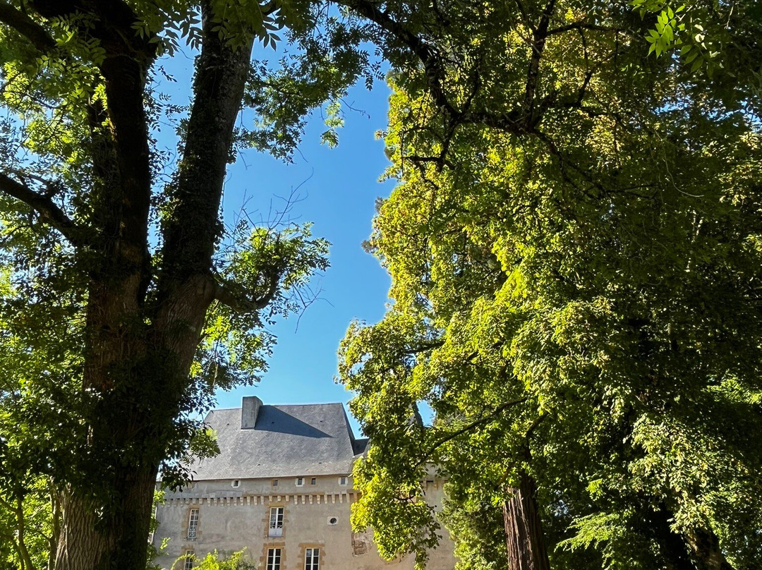 Chateau de Mavaleix主图