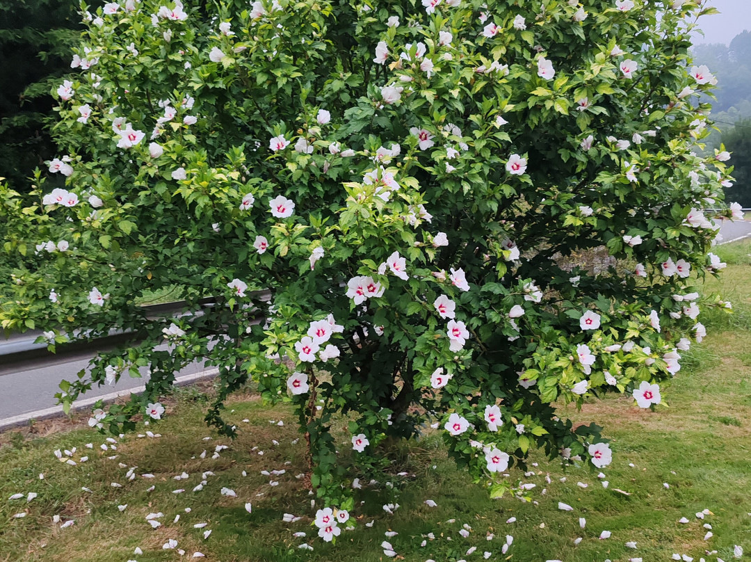 Balneario Elgorriaga主图