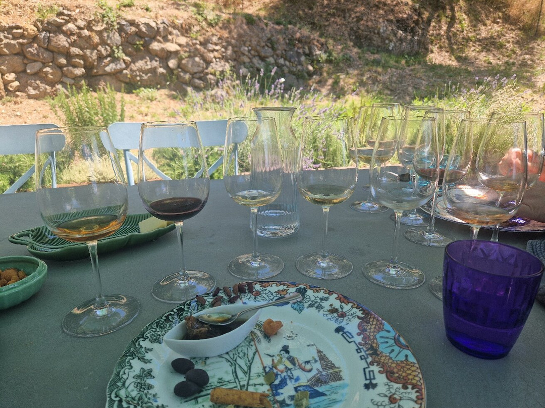 Cà Du Ferrà Wine & Tasting-Bonassola必去景点