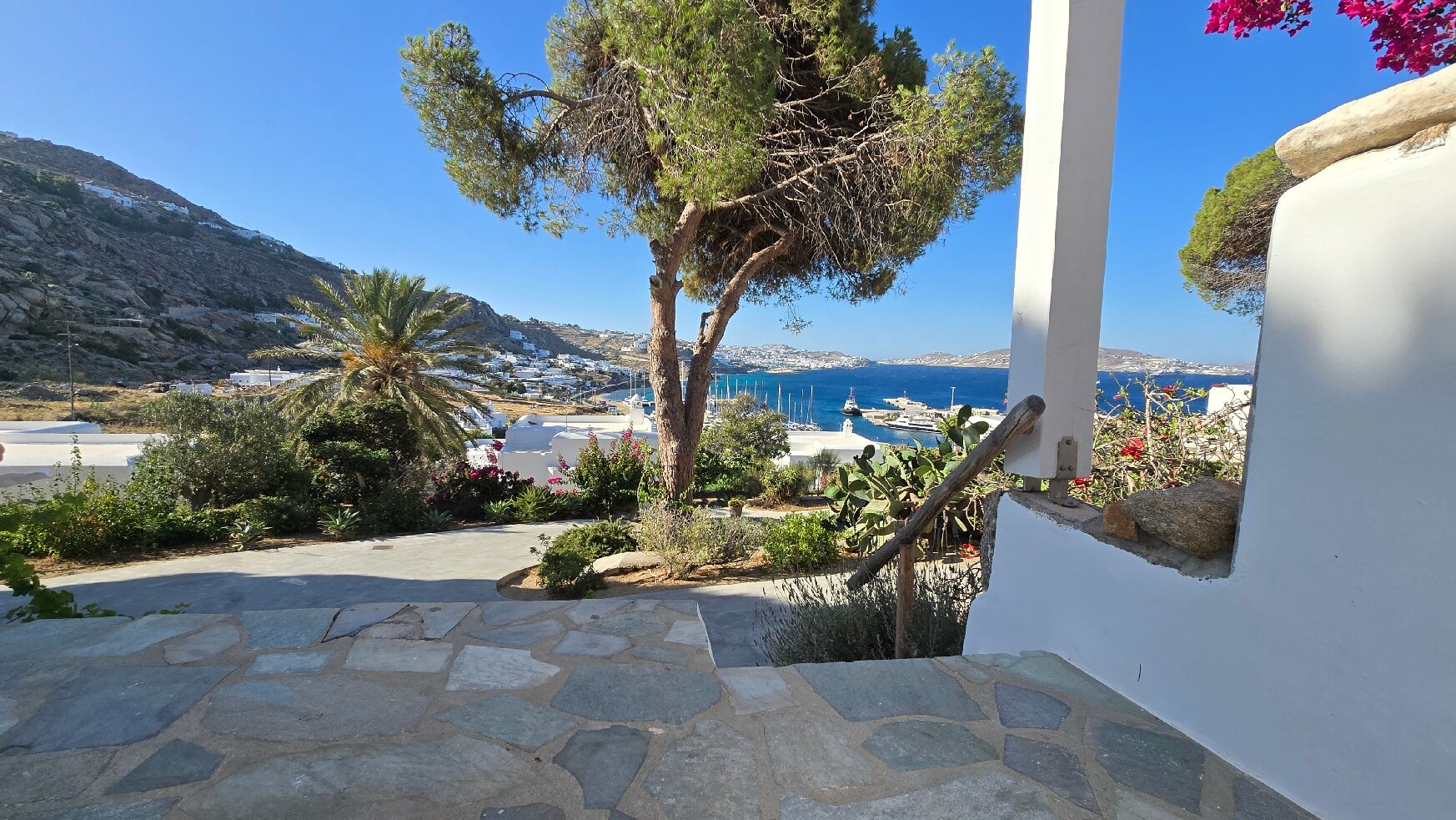 Rhenia Mykonos-官方