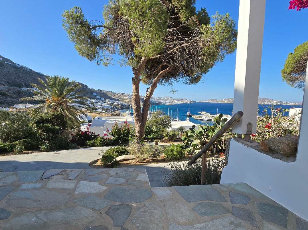 Rhenia Mykonos主图